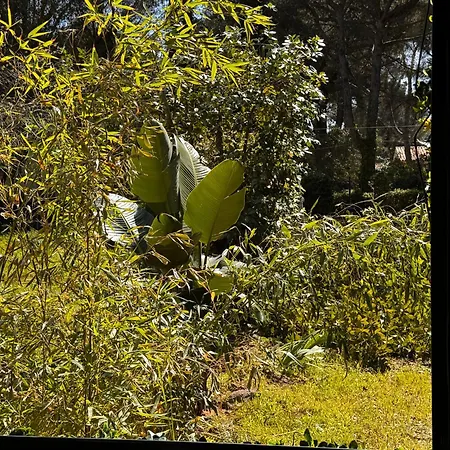 Petite Maison Entre Et Foret En Pleine Nature * Six-Fours-les-Plages